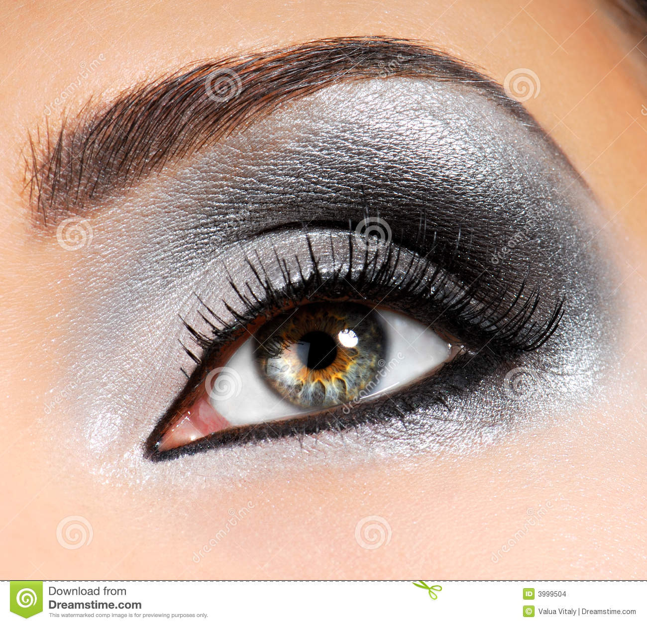 Black And Silver Eye Makeup Silver Black Eyeshadow Image Stock Photo Image Of Sensuality