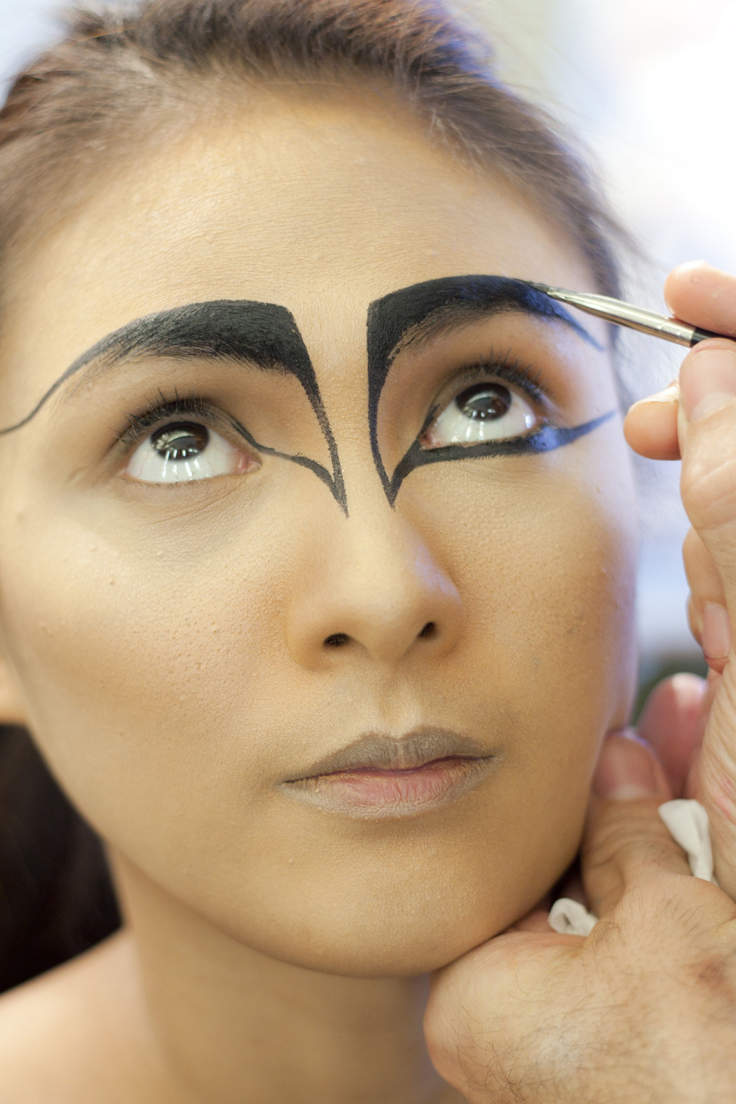 Black Swan Eye Makeup Black Swan Costume Makeup Ideas