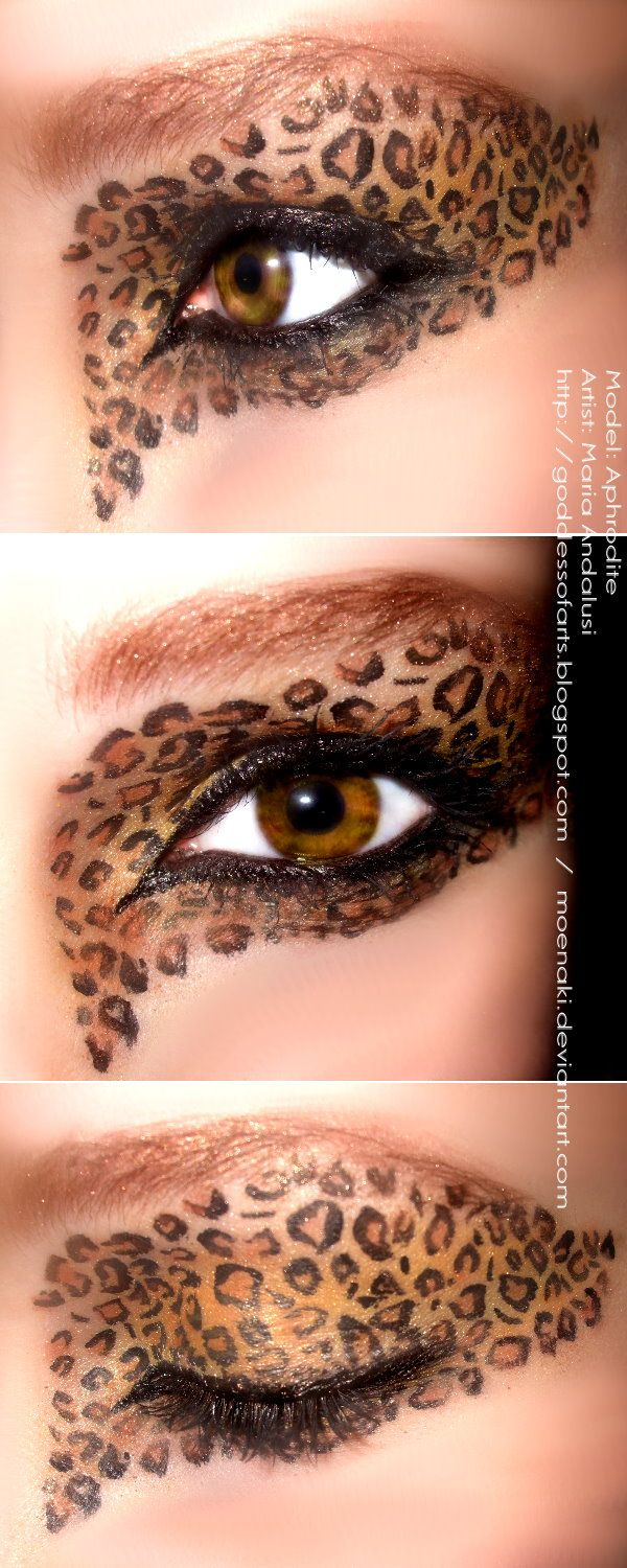 Cheetah Eye Makeup Pin Micaela Clowar On Makeup Pinterest Halloween Makeup