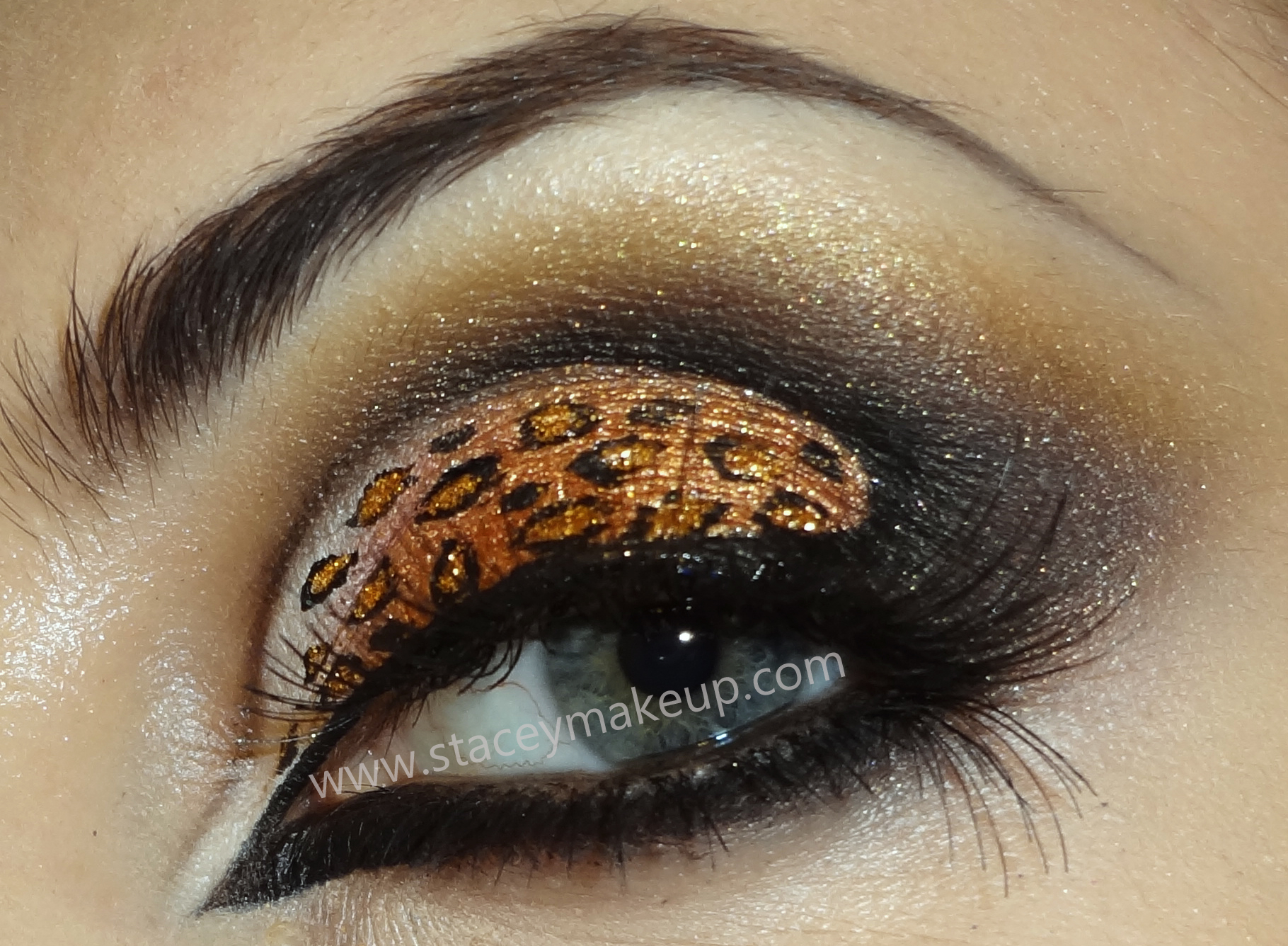 Cheetah Eye Makeup Sexy Leopard Eyes Woman Fashion Nicepricesell