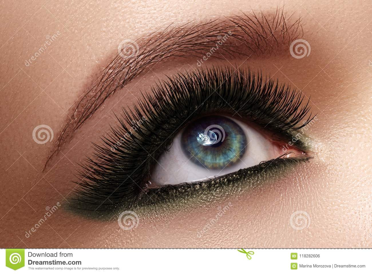 Extreme Eye Makeup Beautiful Female Eye With Extreme Long Eyelashes Black Liner Makeup
