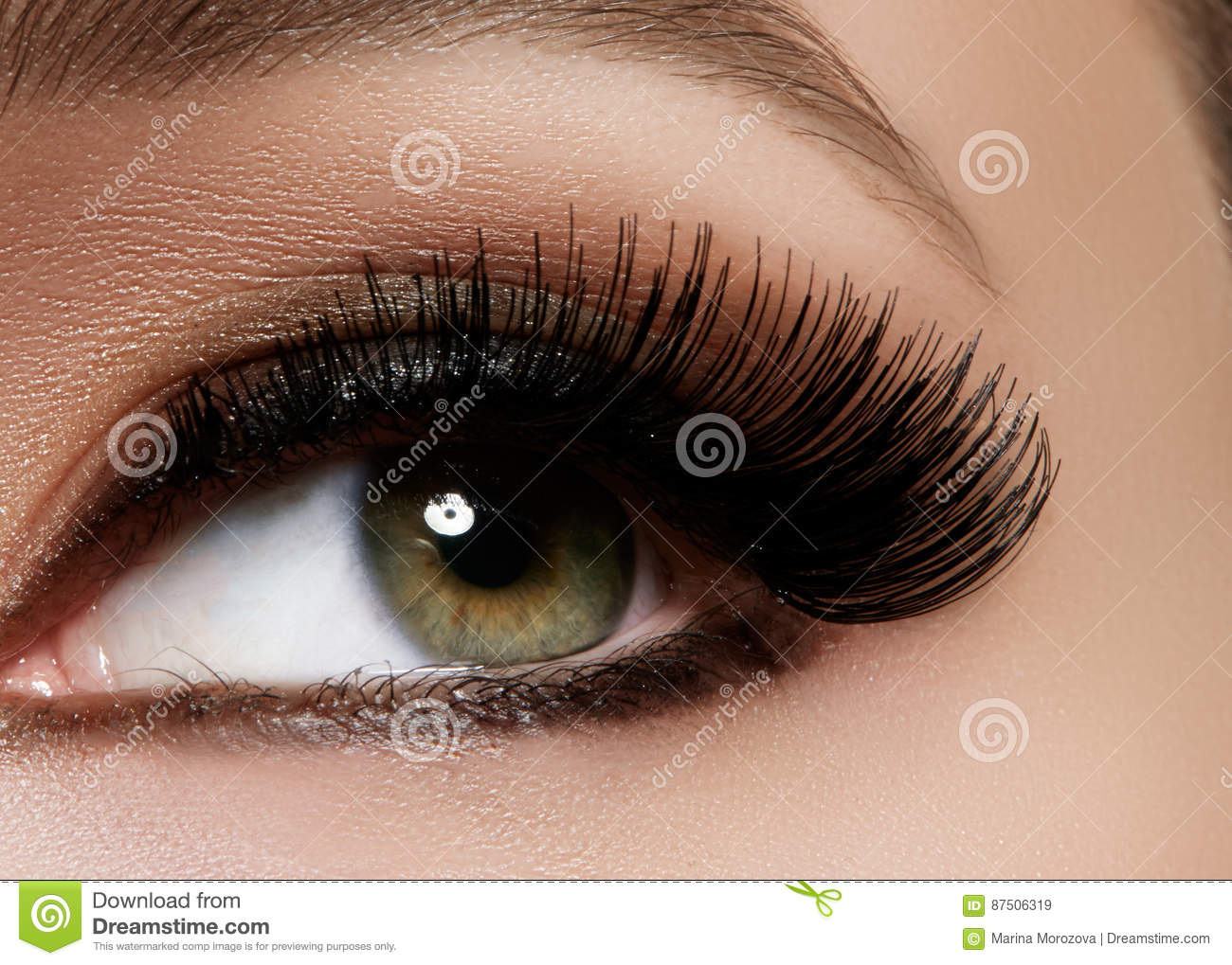 Extreme Eye Makeup Beautiful Female Eye With Extreme Long Eyelashes Black Liner Makeup