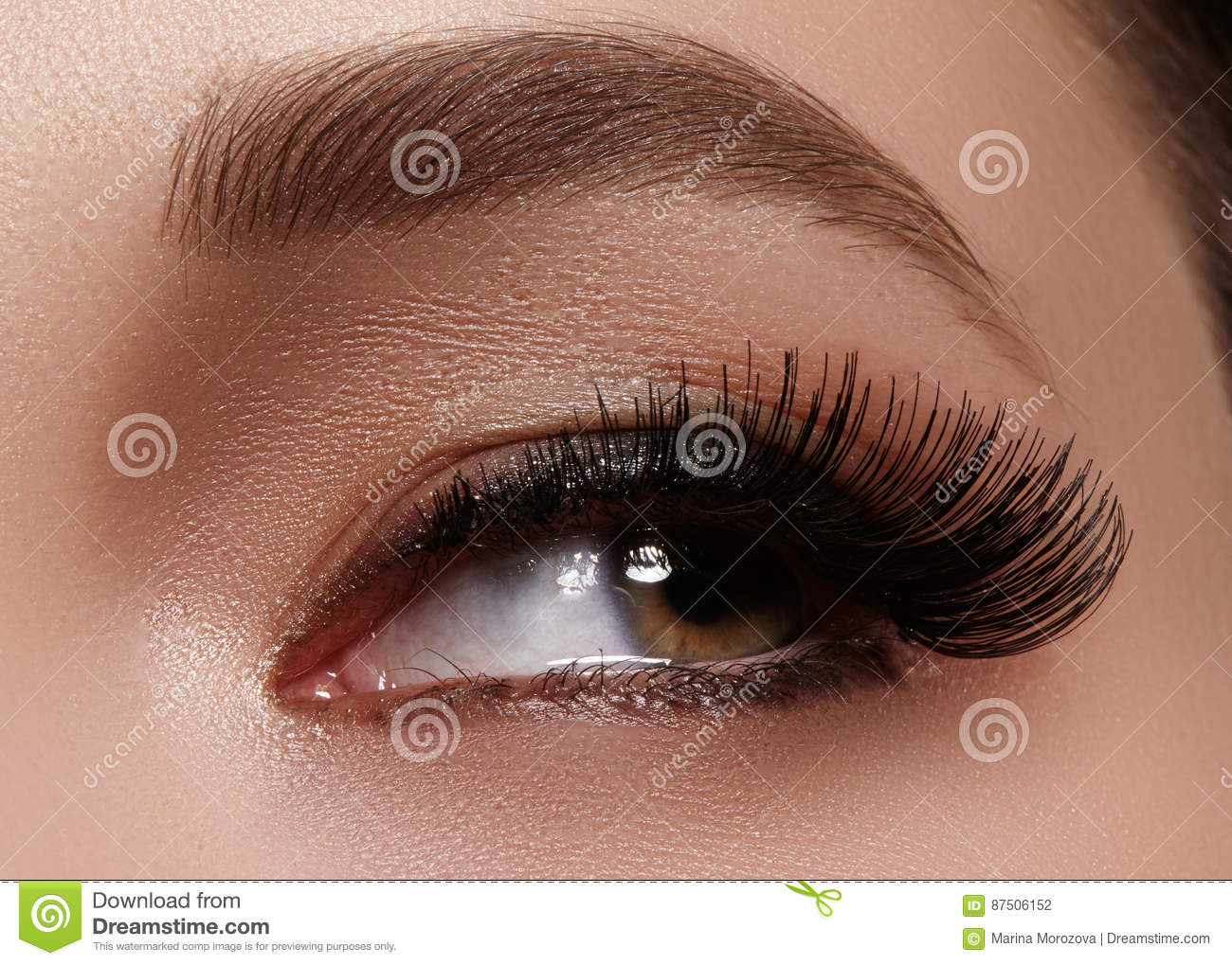 Extreme Eye Makeup Beautiful Female Eye With Extreme Long Eyelashes Black Liner Makeup