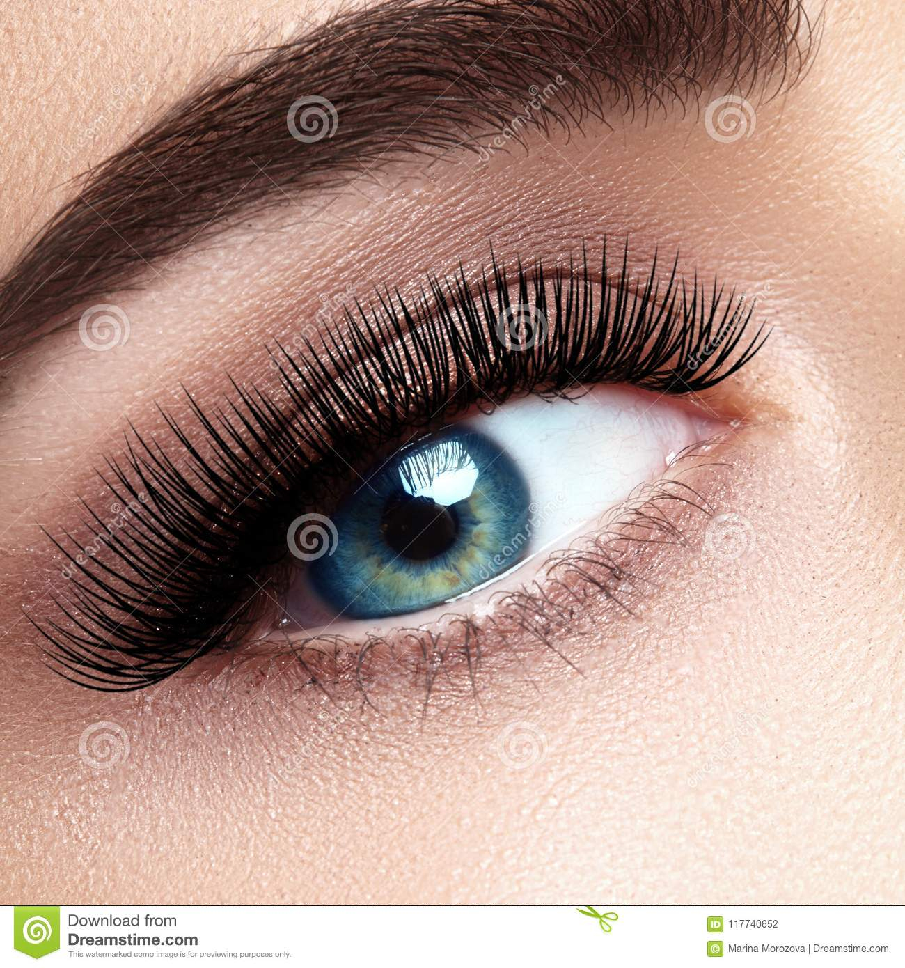 Extreme Eye Makeup Beautiful Female Eye With Extreme Long Eyelashes Black Liner Makeup