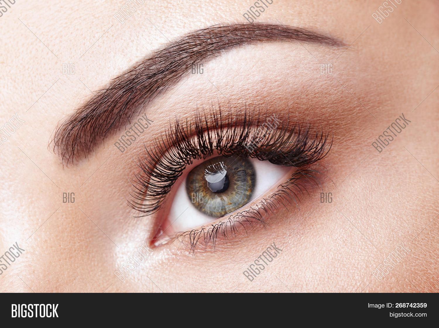 Extreme Eye Makeup Female Eye Extreme Image Photo Free Trial Bigstock