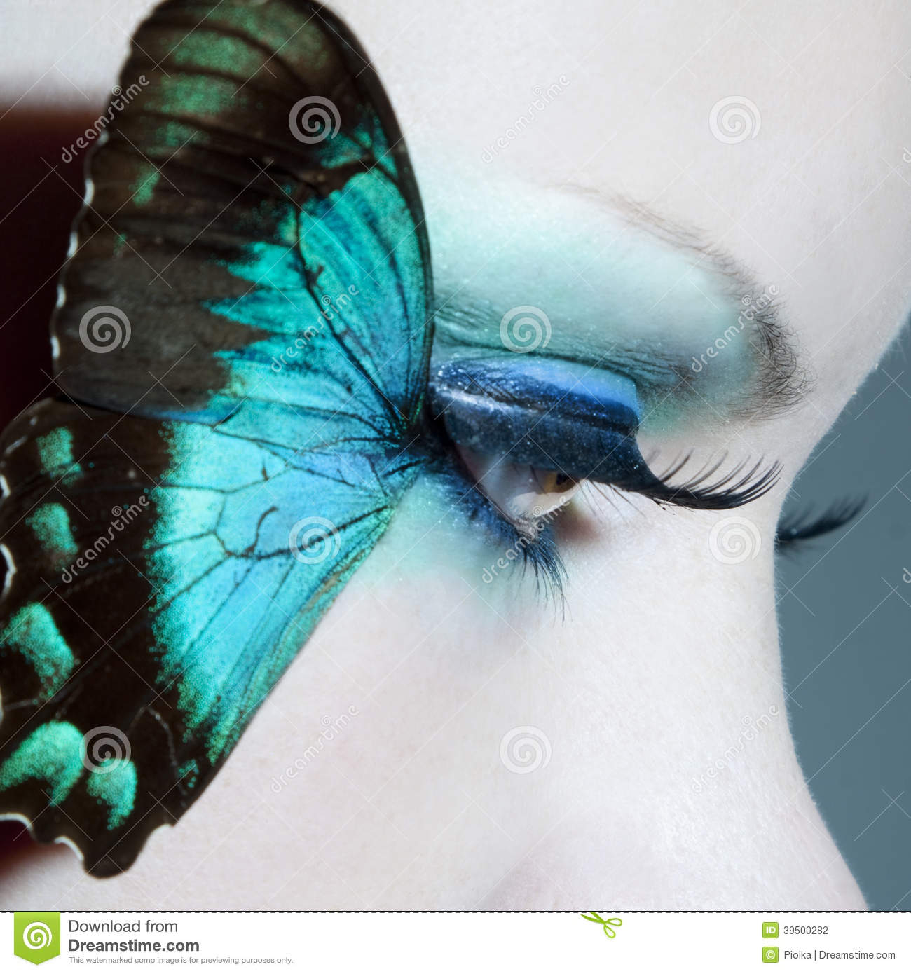 Eye Makeup Butterfly Beautiful Woman Eye Close Up With Butterfly Wings Stock Photo