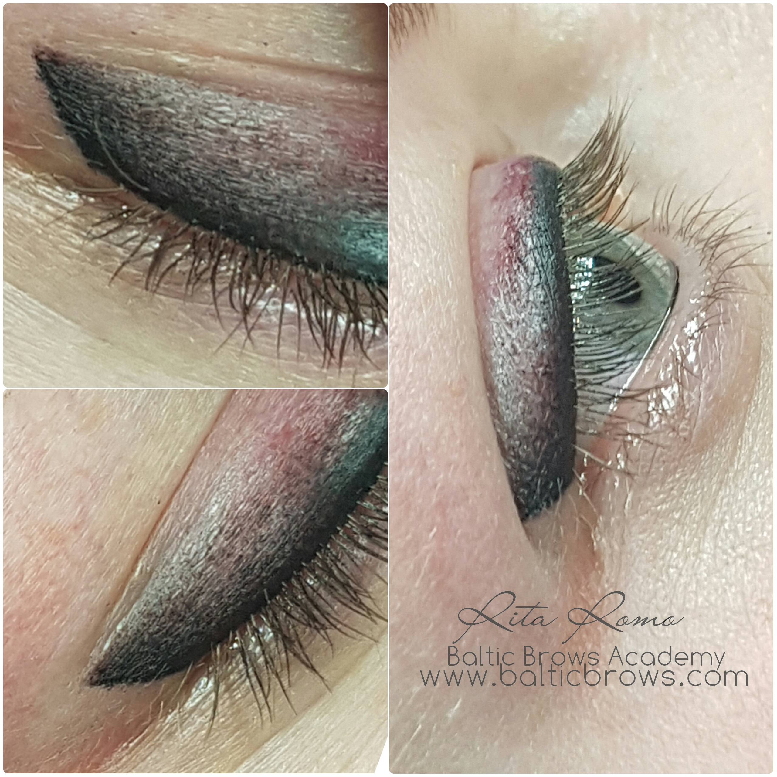 Eye Makeup Butterfly Butterfly Eyeshadow Balticbrows