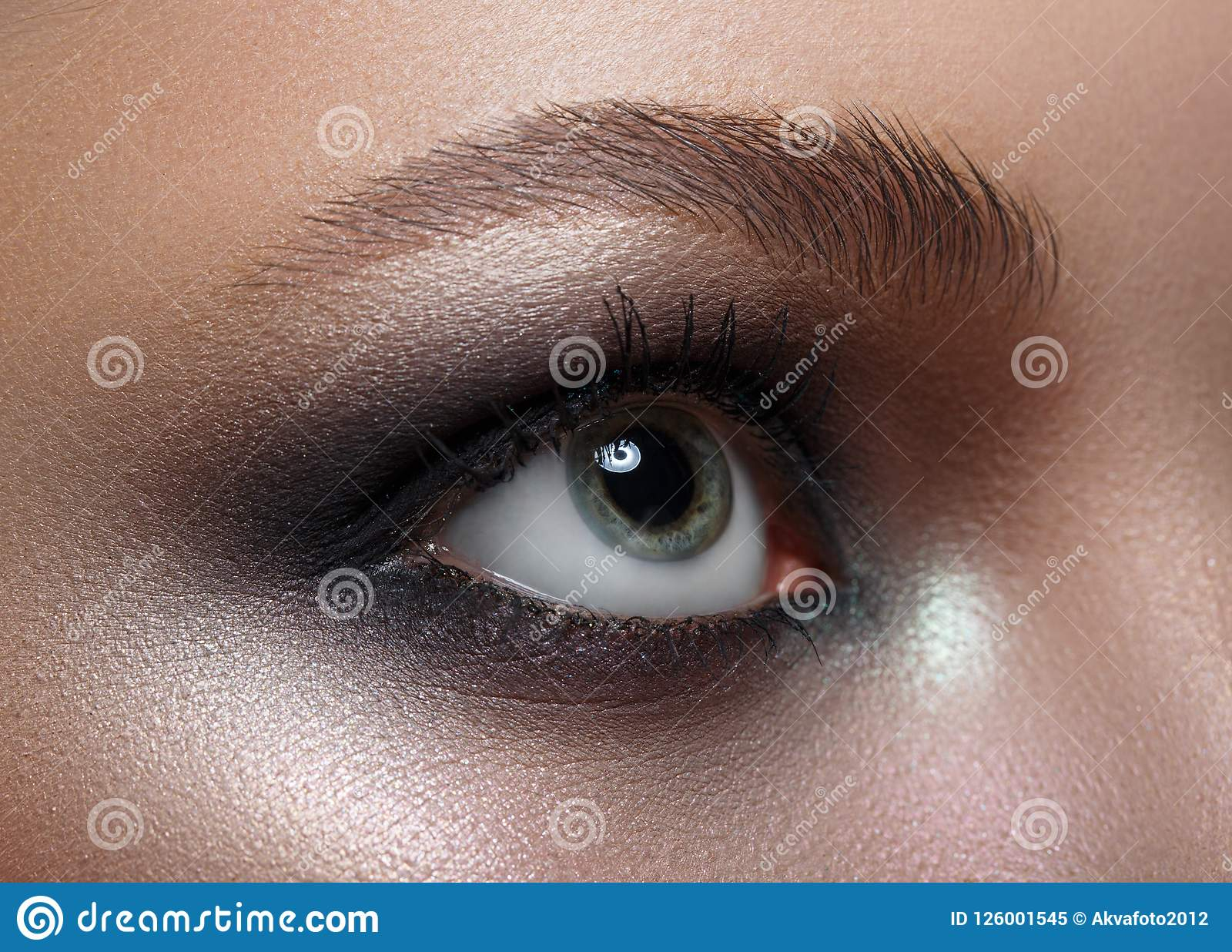 Eye Makeup For Grey Eyes Macro Perfect Makeup And Eyebrows Beautiful Gray Eyes Stock Image