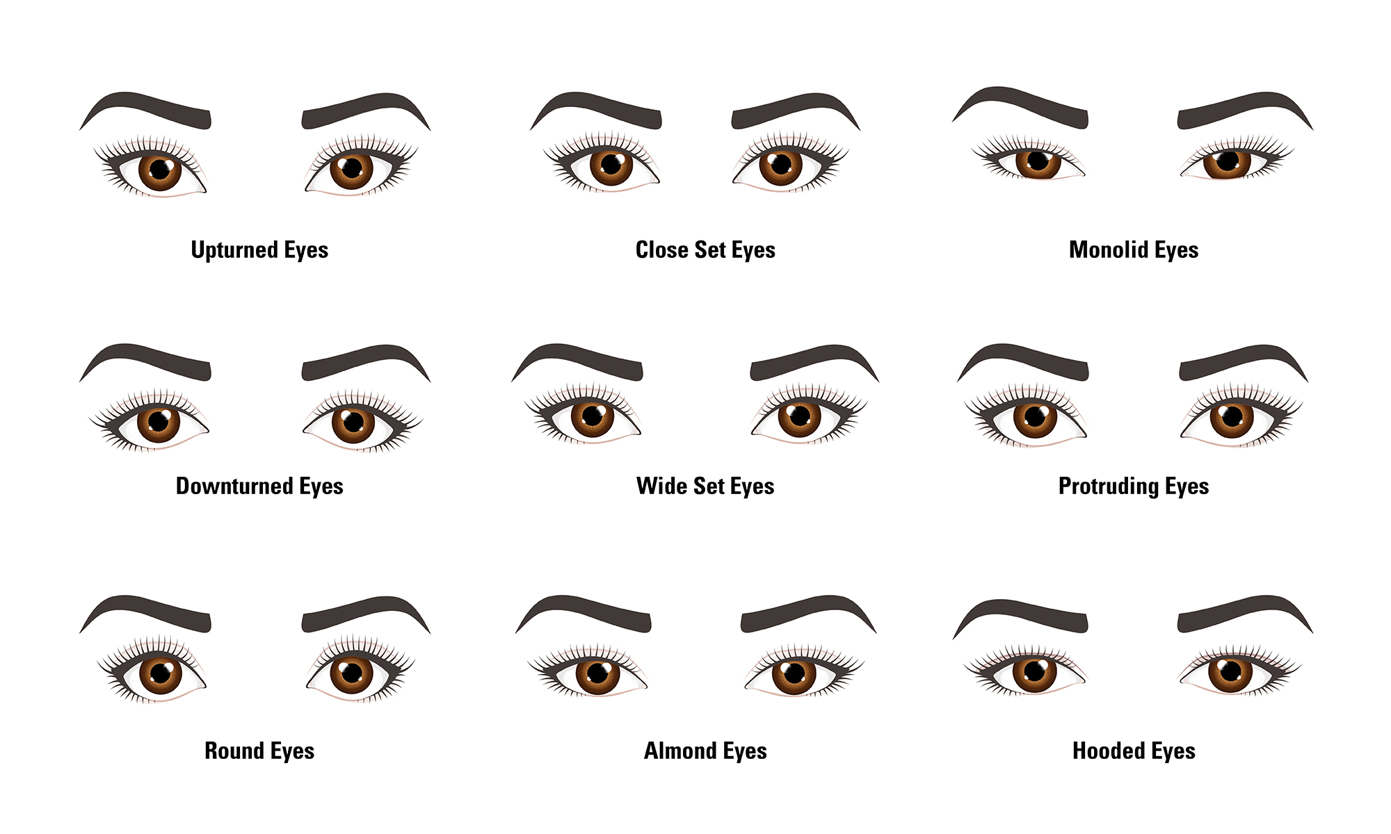 Eye Shapes For Makeup Makeup Tips Do You Know Your Eye Shape Lionesse Beauty Bar