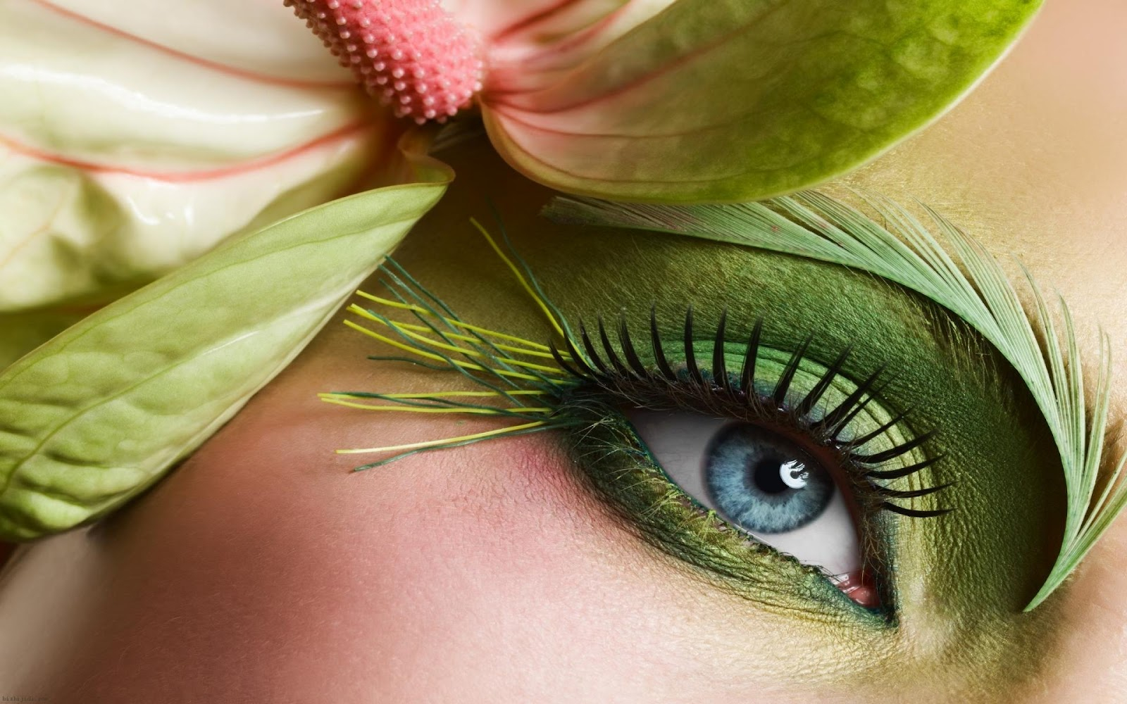 Eyes Makeup Pics Download Download Eye Makeup Wallpaper 23219 1600x1000 Px High Definition
