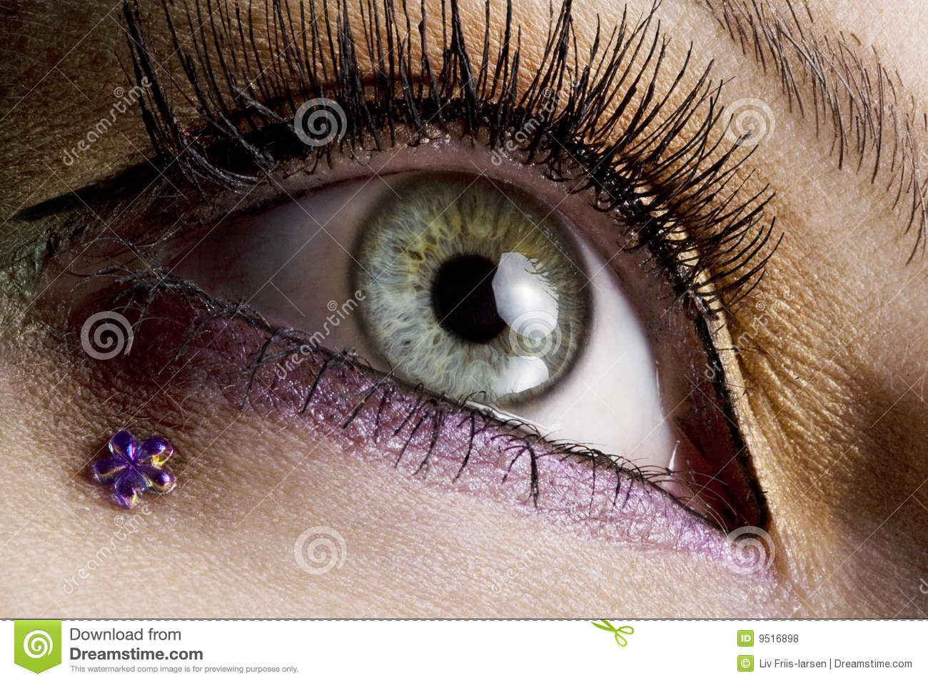 Eyes Makeup Pics Download Eye Makeup Stock Photo Image Of Makeup Horizontal Colour 9516898