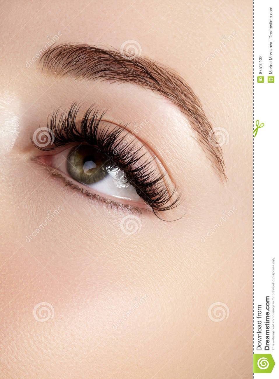 Feminine Eye Makeup Beautiful Female Eye With Extreme Long Eyelashes Black Liner Makeup