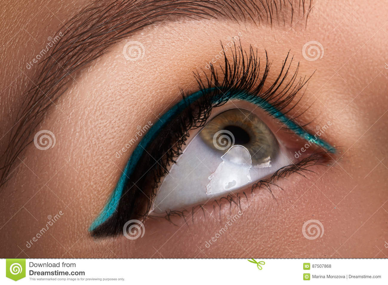Feminine Eye Makeup Beautiful Macro Shot Of Female Eye With Makeup Perfect Shape Of