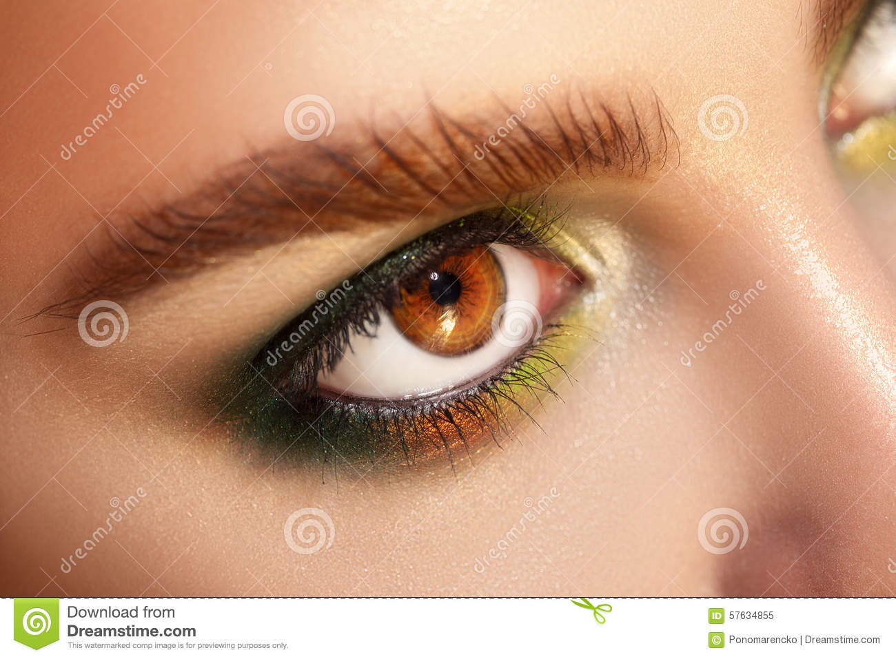 Green Brown Eyes Makeup Horizontal Macro Photo Of Brown Eyes With Green Colors Makeup Stock