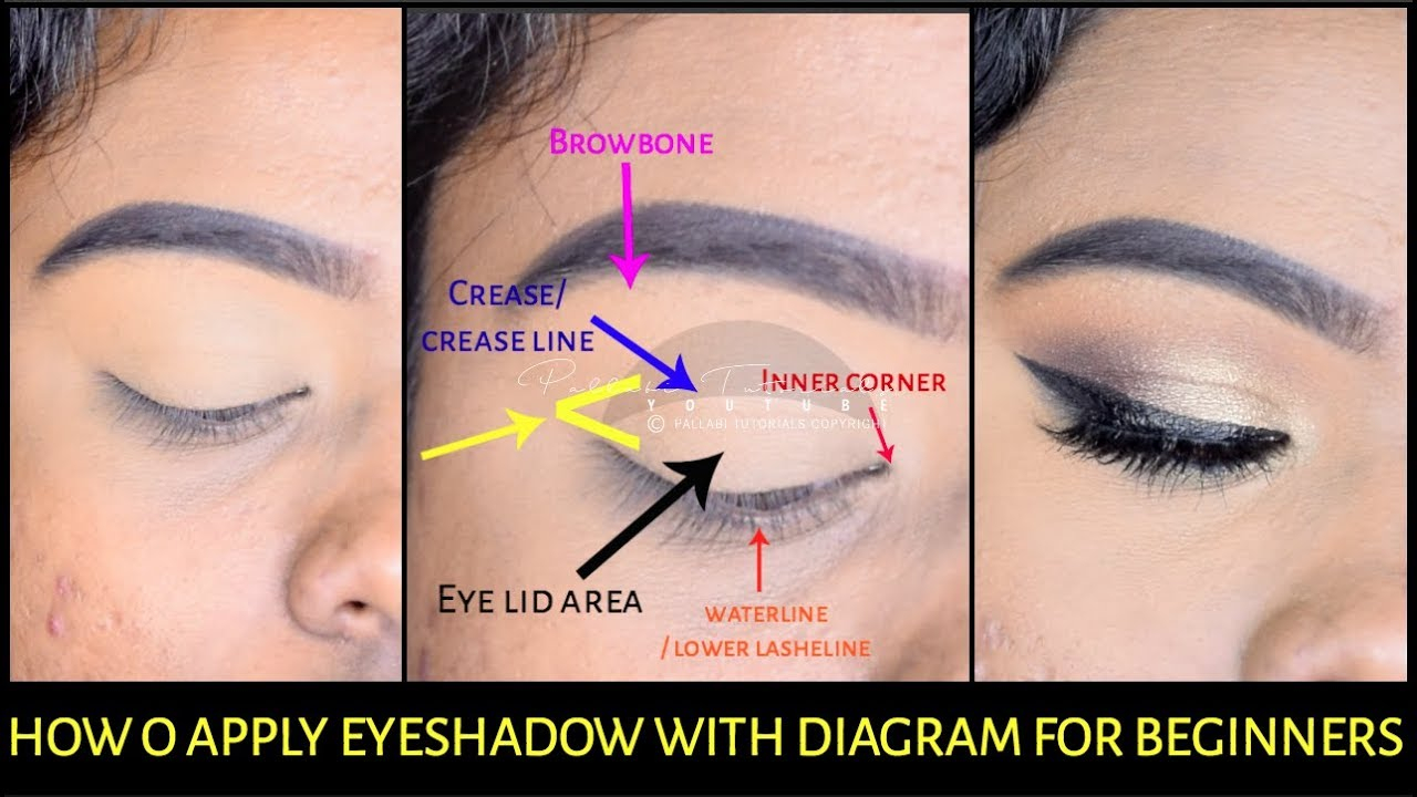 How To Apply Eye Makeup Like A Pro How To Apply Eyeshadow Basic To Pro For Beginner With Diagram