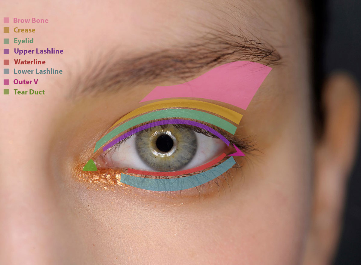 How To Apply Eye Makeup With Pictures How To Apply Eye Makeup What Products To Put Where Fashionisers