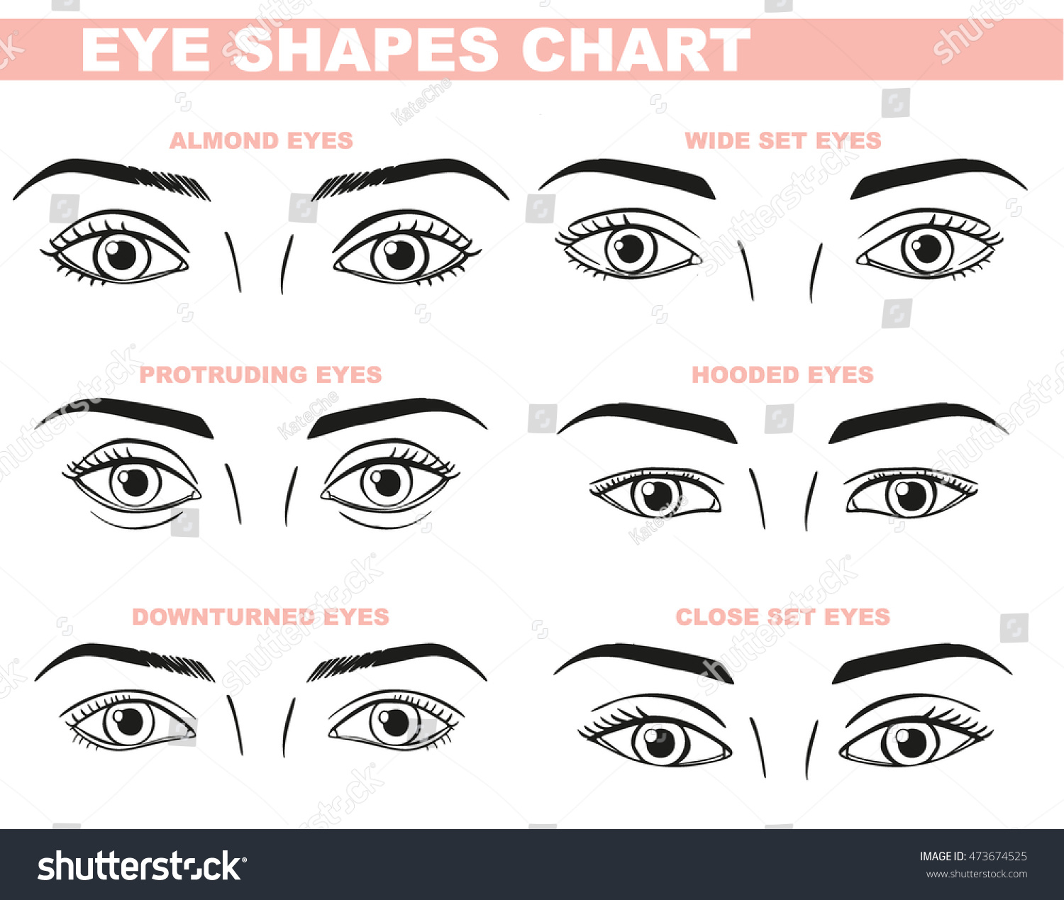 Makeup For Close Set Eyes Eyes Face Chart Blank Template Makeup Stock Vector Royalty Free