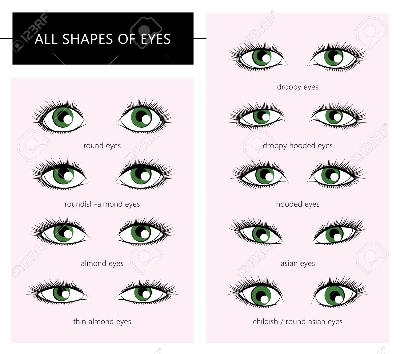 Makeup For Different Eye Shapes Different Shapes Of Eyes Of Human Different Eye Shapes For Makeup