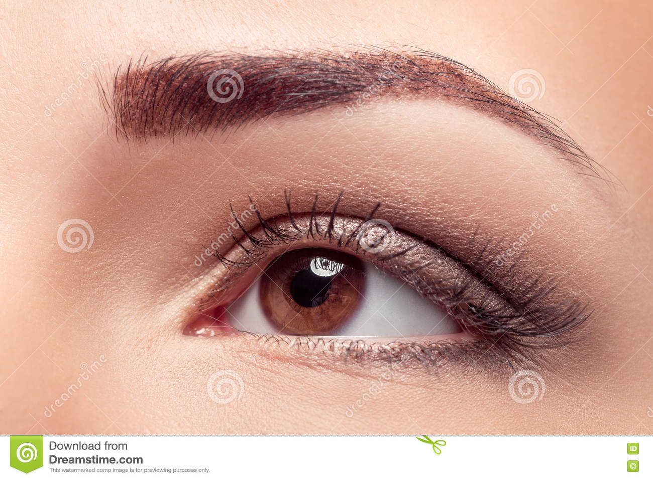 Natural Eye Makeup Brown Eyes Beautiful Woman Eye Stock Image Image Of Human Brow 72392439
