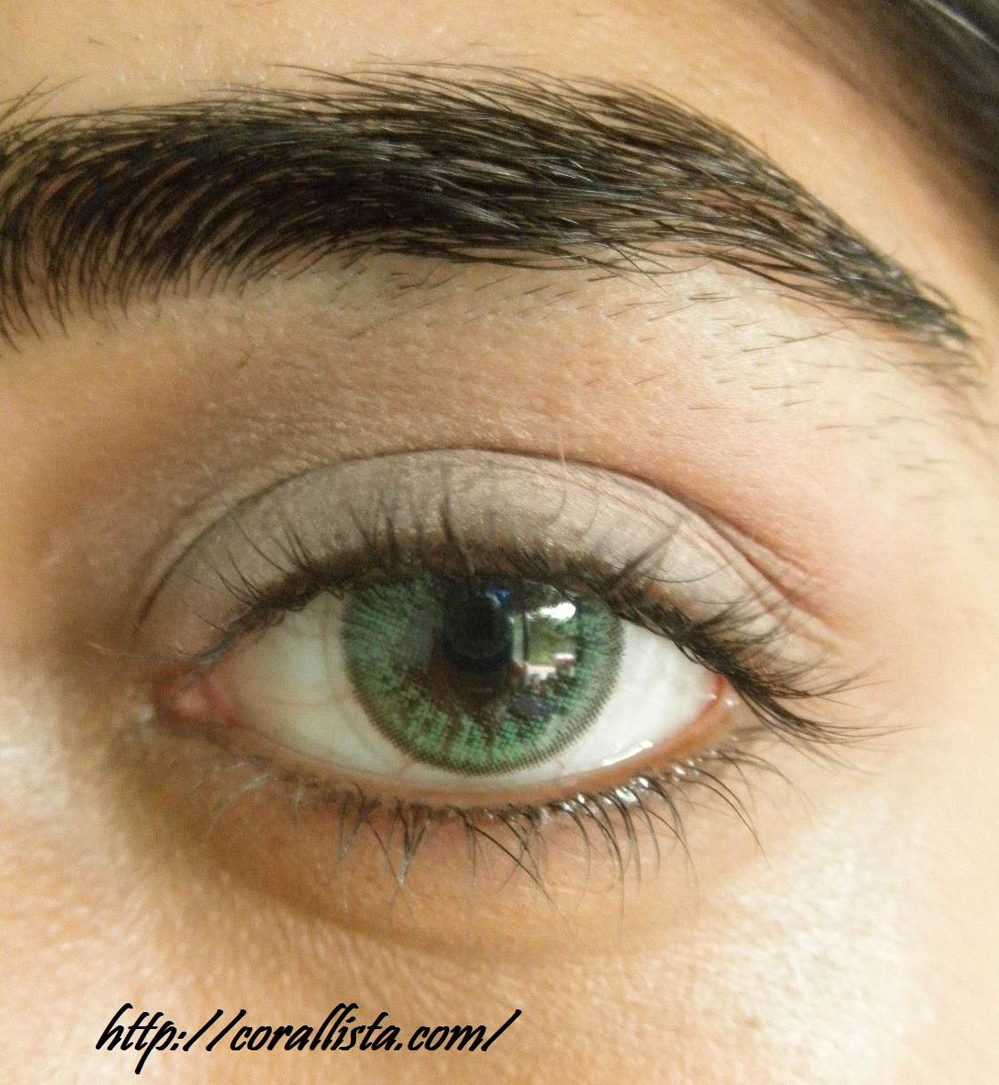 Natural Eye Makeup For Green Eyes Neutral Pink And Brown Office Wear Eye Makeup Step Wise Photo