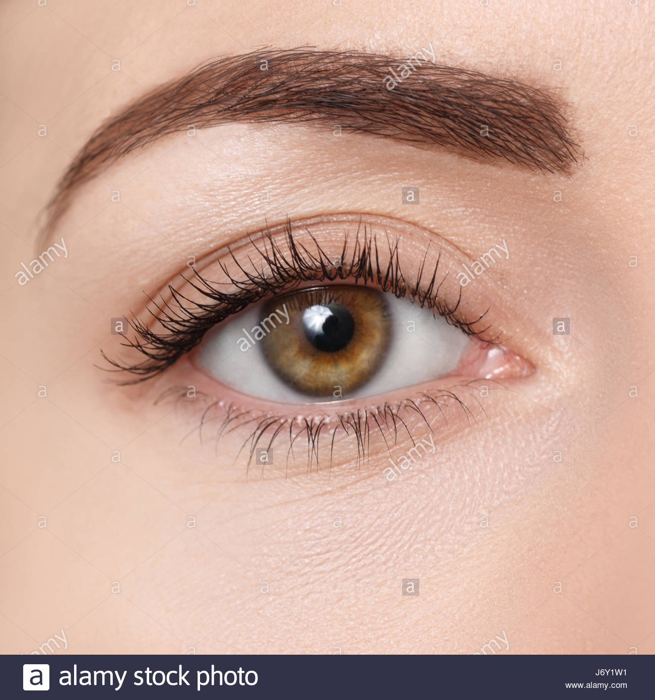 Natural Makeup For Hazel Eyes Female Hazel Eye Makeup Stock Photos Female Hazel Eye Makeup Stock