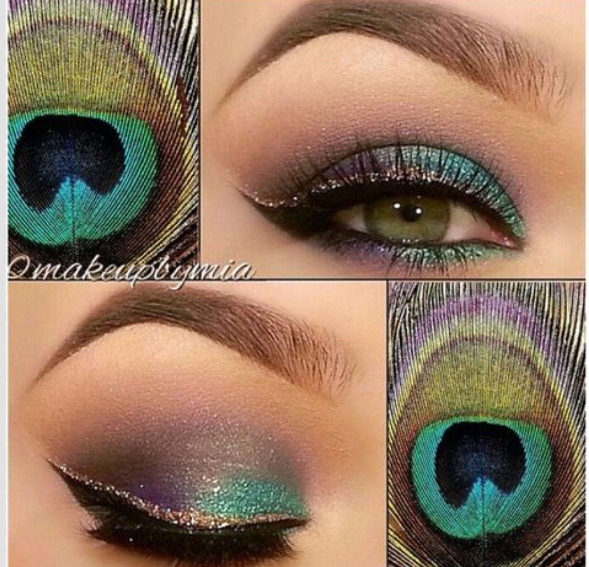 Peacock Eye Makeup Peacock Eyes Makeup Pinterest Peacock Makeup Makeup And