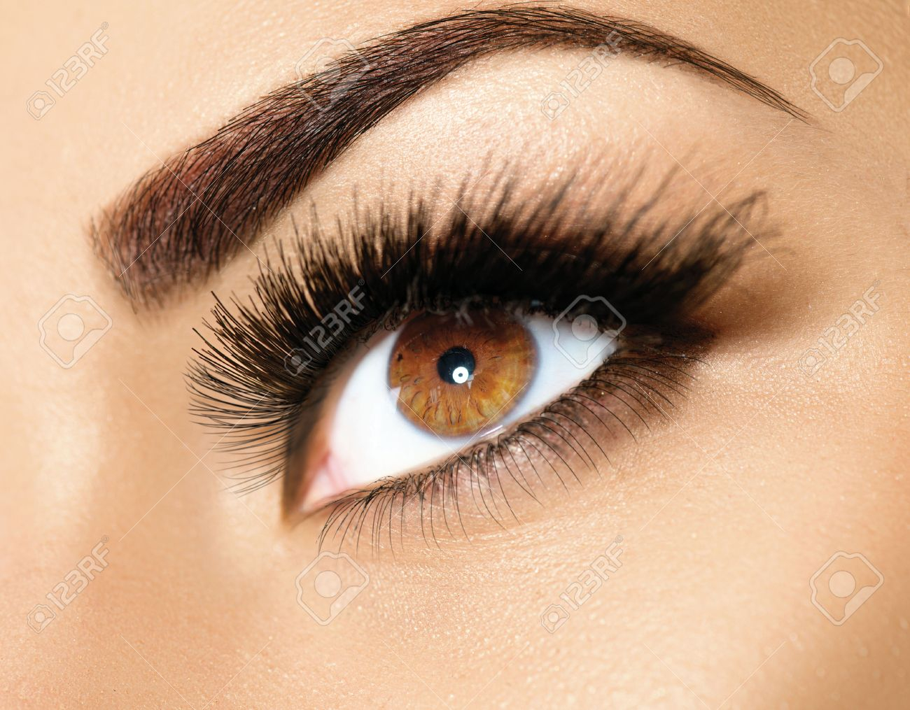 Perfect Eye Makeup Brown Eye Makeup Perfect Beauty Eyebrows Stock Photo Picture And