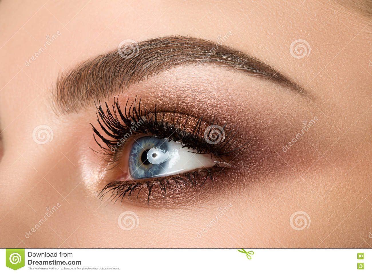 Smokey Brown Eye Makeup Close Up Of Woman Eye With Beautiful Brown Smokey Eyes Makeup Stock
