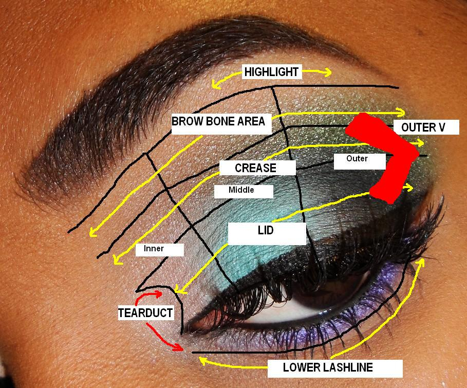 Socket Eye Makeup Fusion Of Color Cosmetics