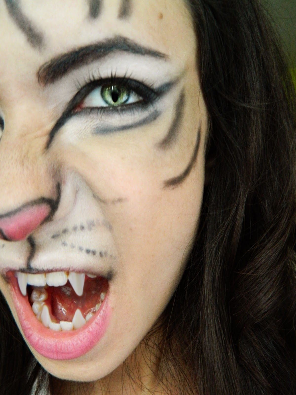 Tiger Eye Makeup Tiger Eye Makeup Halloween