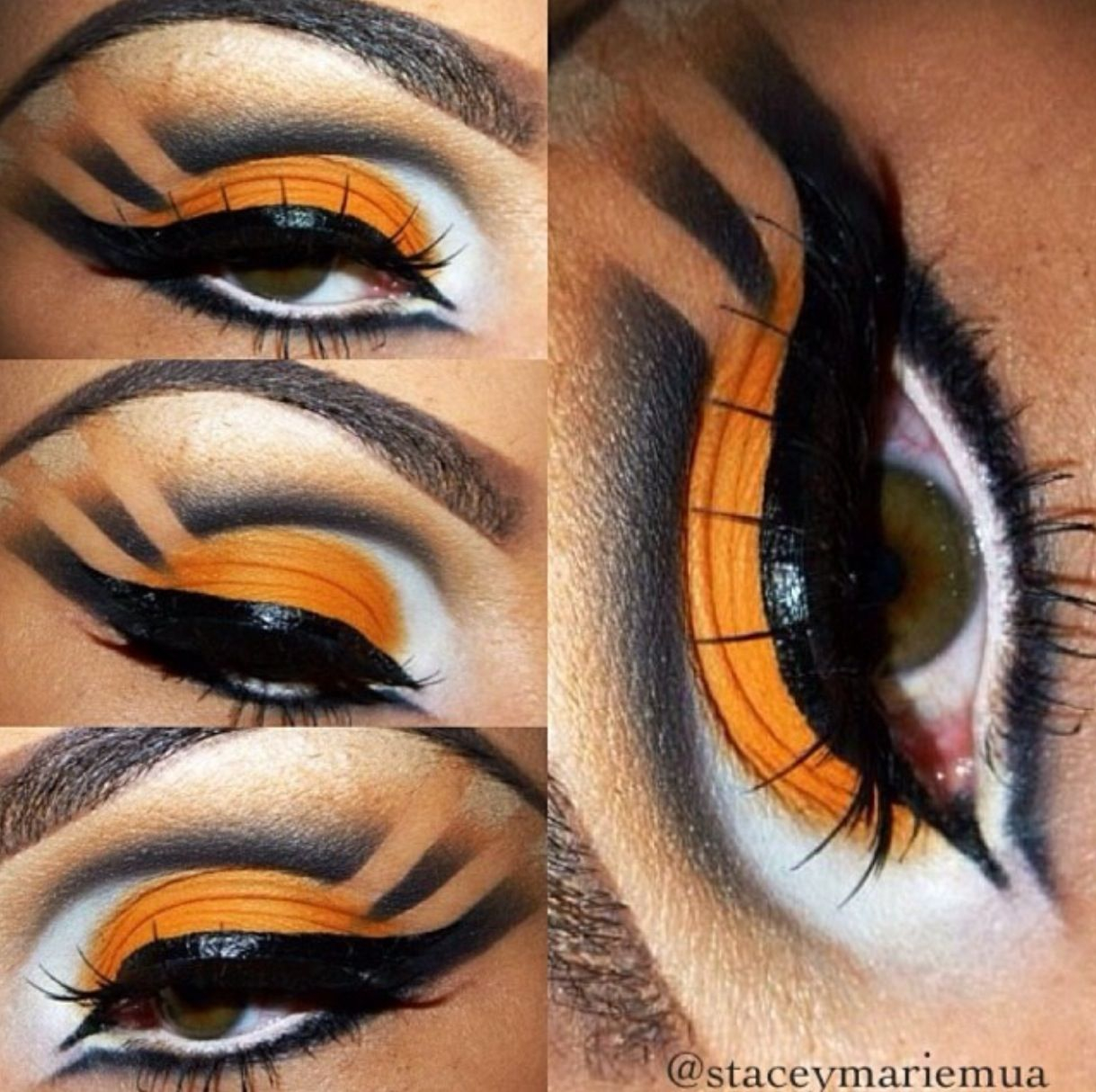 Tiger Eye Makeup Tiger Eyes Makeup Pinterest Tiger Makeup Eye Face Painting