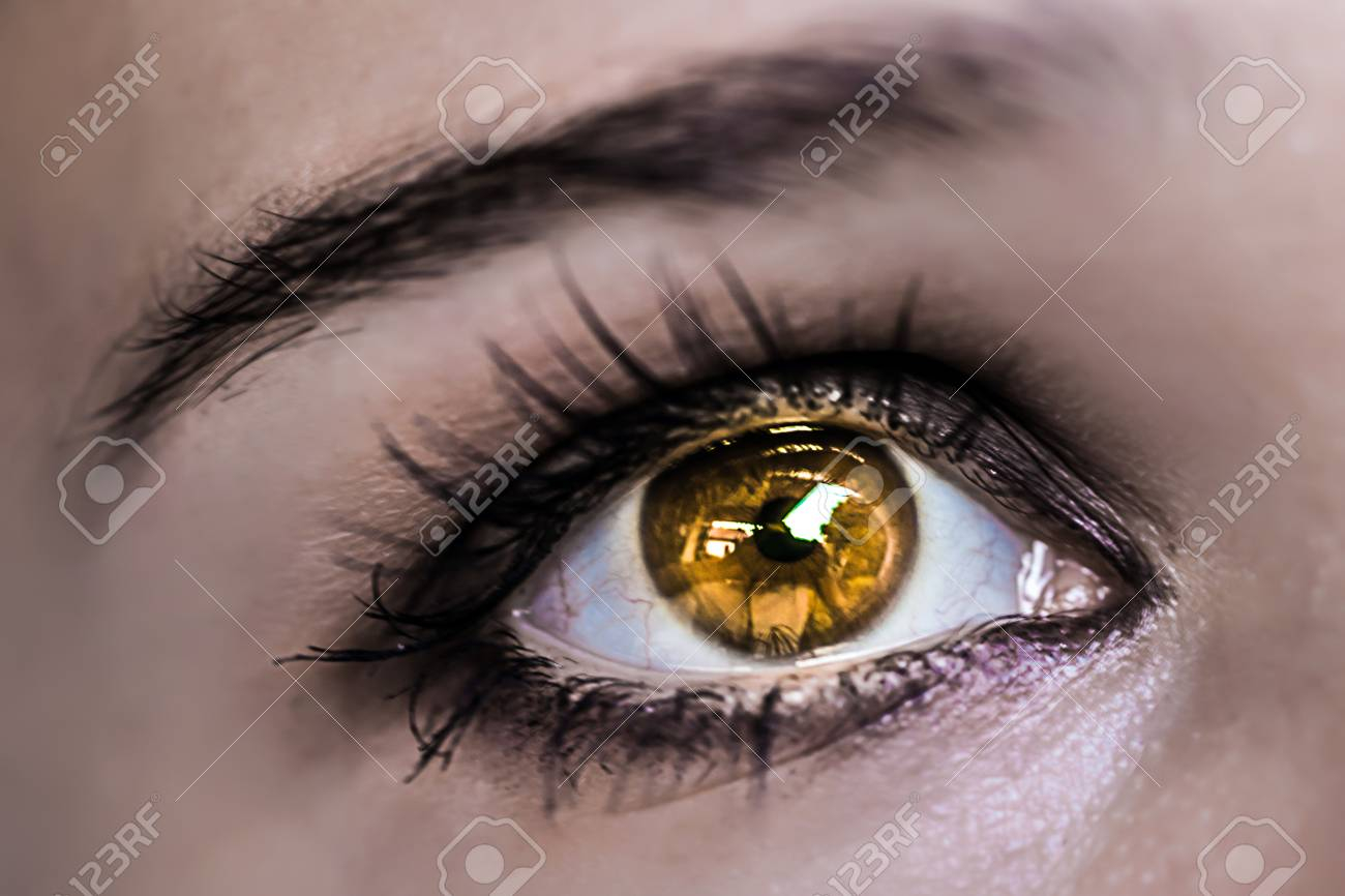 Yellow Eye Makeup Yellow Eye Makeup Beautiful Eyes Make Up Macro Stock Photo